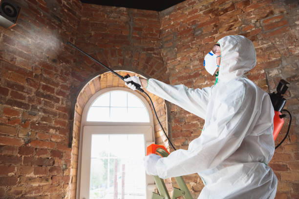 Mold Remediation for Vacation Homes in Poughkeepsie, NY