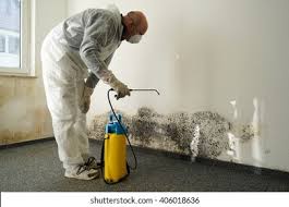  Poughkeepsie, NY Mold Removal Services Pros